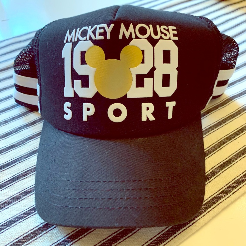 Disney Parks Hat